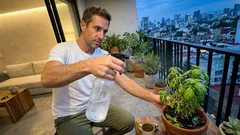 ¿Aspirina en tus plantas “por si acaso”? Así se diluye y cuándo conviene usarla