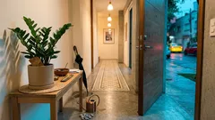 Cómo colocar la planta ZZ en la entrada según el feng shui (y por qué se recomienda tanto)