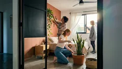 Plantas de interior que se hicieron famosas por la NASA: cómo usarlas en tu recámara sin caer en mitos