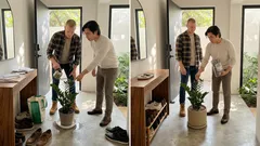 Cómo colocar la zamioculca en la entrada según el feng shui (y cuidarla para que siempre luzca impecable)