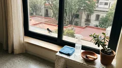 Un pájaro en tu ventana: la señal de apertura que lee el Feng Shui